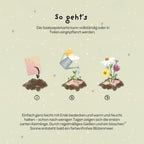 Grußkarte - Viel Erfolg, du Glückskind!