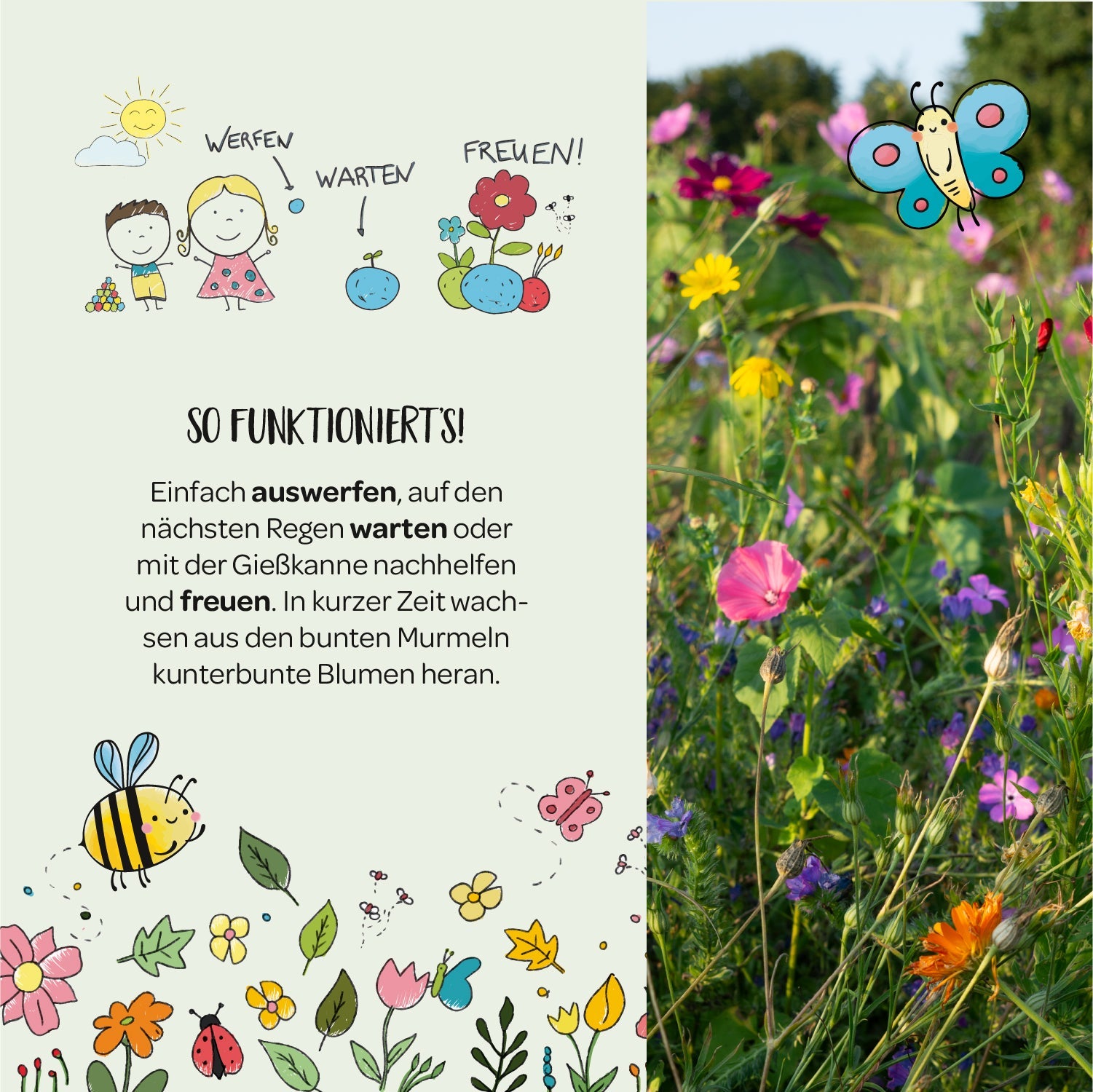 Naturabenteuer – Dose mit 100 Blumenmurmeln